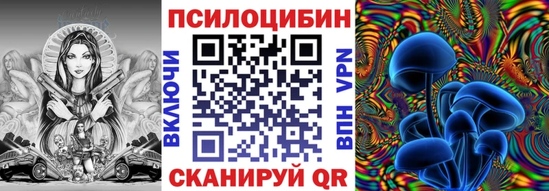 Псилоцибиновые грибы MAGIC MUSHROOMS  цены   hydra ТОР  мориарти наркотические препараты  Дзержинск 