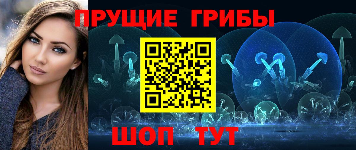 Псилоцибиновые грибы Psilocybe Дзержинск