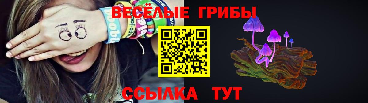 Псилоцибиновые грибы прущие грибы  Вход с VPN  Дзержинск 